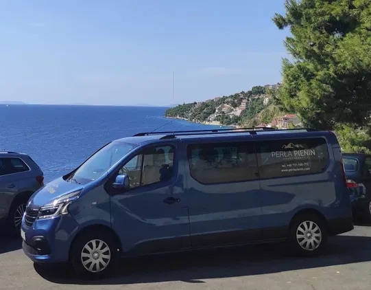 renault małopolskie Renault Trafic cena 135300 przebieg: 41000, rok produkcji 2019 z Dębno